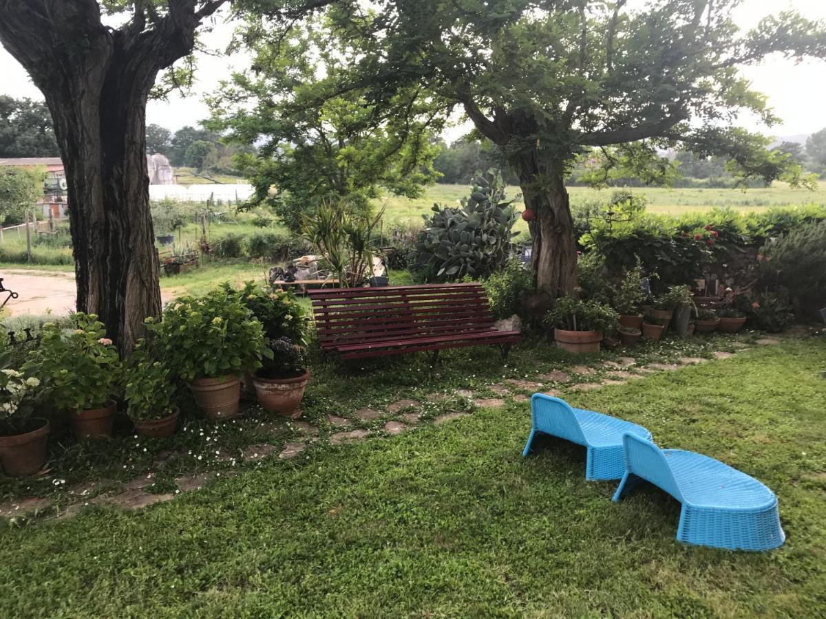 Case Di Vetulonia Castiglione della Pescaia Exteriör bild